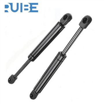 Bonnet Gas Struts